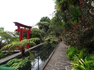 6c Monte palace tropical garden _DSC00585