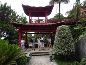 6c Monte palace tropical garden _DSC00586