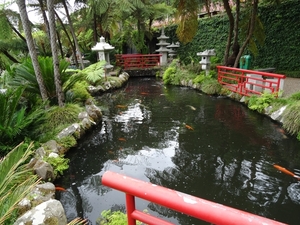 6c Monte palace tropical garden _DSC00587