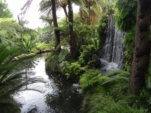 6c Monte palace tropical garden _DSC00588