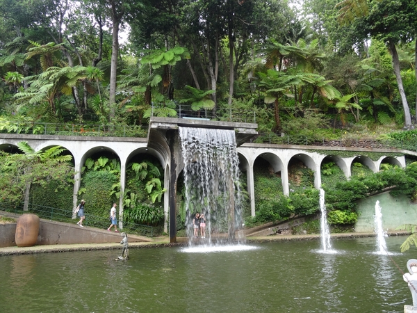 6c Monte palace tropical garden _DSC00598