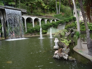 6c Monte palace tropical garden _DSC00599