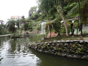 6c Monte palace tropical garden _DSC00623