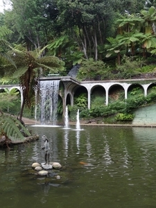 6c Monte palace tropical garden _DSC00625