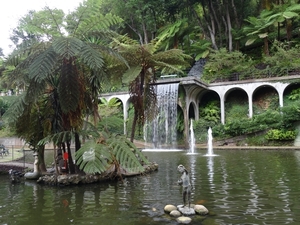 6c Monte palace tropical garden _DSC00626