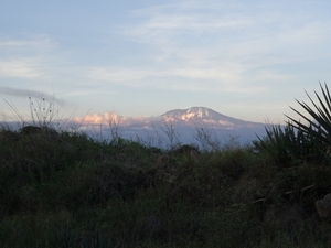 1d Kilimanjaro, lodge _DSC00008