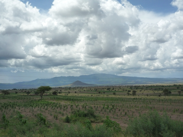 2a Arusha --) Lake Manyara _P1210397