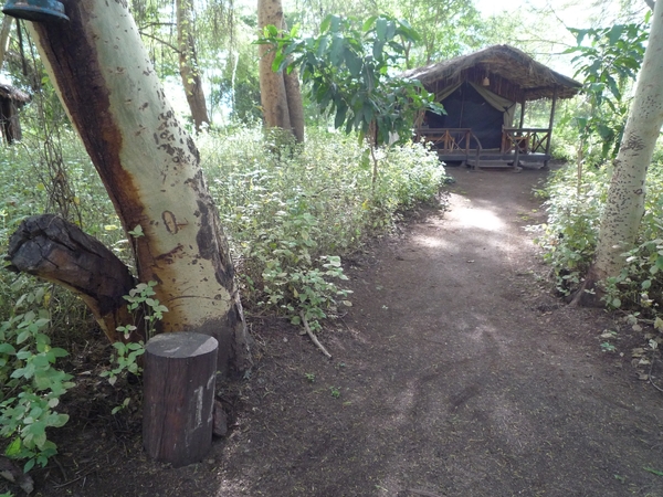 2b Lake Manyara, Lodge _P1210409