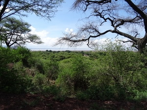 3c Lake Manyara NP _DSC00113