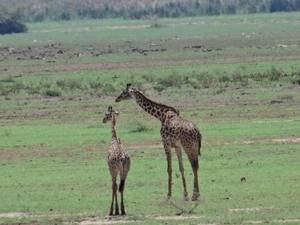 3c Lake Manyara NP _DSC00122