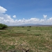 3c Lake Manyara NP _DSC00150