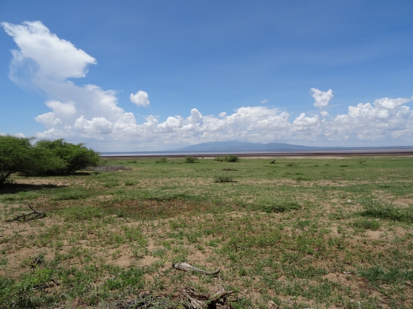 3c Lake Manyara NP _DSC00150