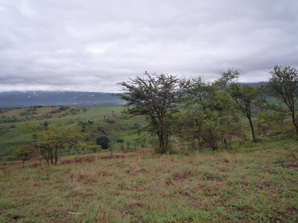 4b Karatu omg. _P1210448