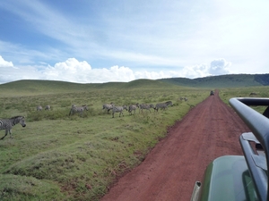 4d Ngorongoro krater  _P1210478