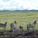 4d Ngorongoro krater  _P1210481