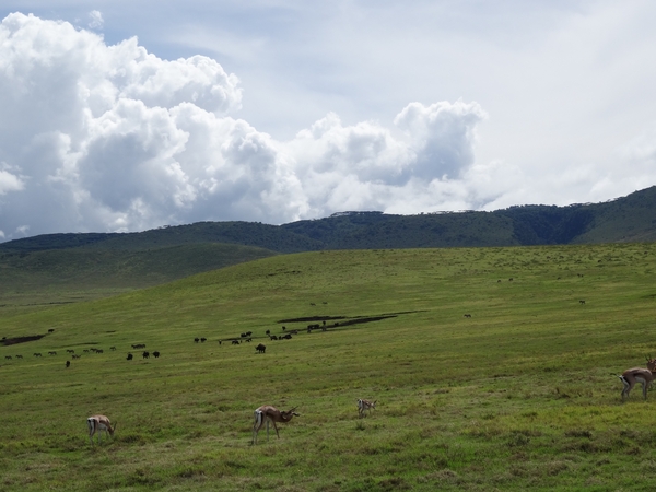 4d Ngorongoro krater _DSC00190