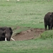 4d Ngorongoro krater _DSC00196