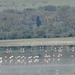 4d Ngorongoro krater _DSC00210