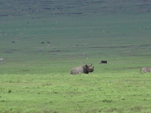 4d Ngorongoro krater _DSC00244