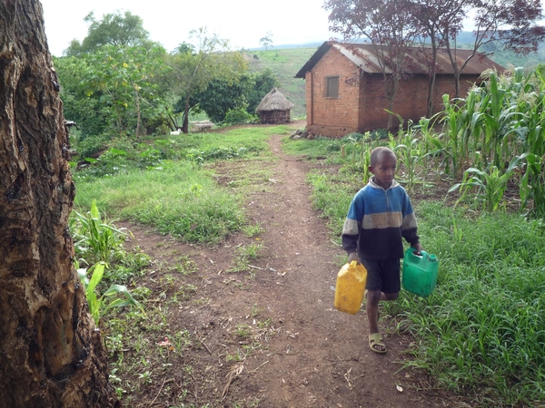 4g Karatu omg., koffieplantage wandeling _P1210564