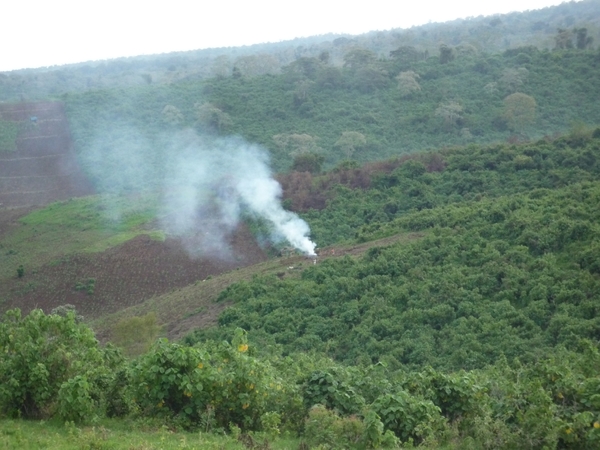 4g Karatu omg., koffieplantage wandeling _P1210566