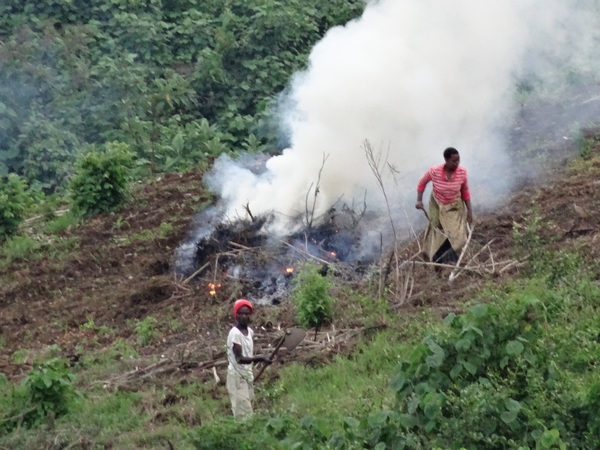 4h Karatu, Lodge _DSC00259