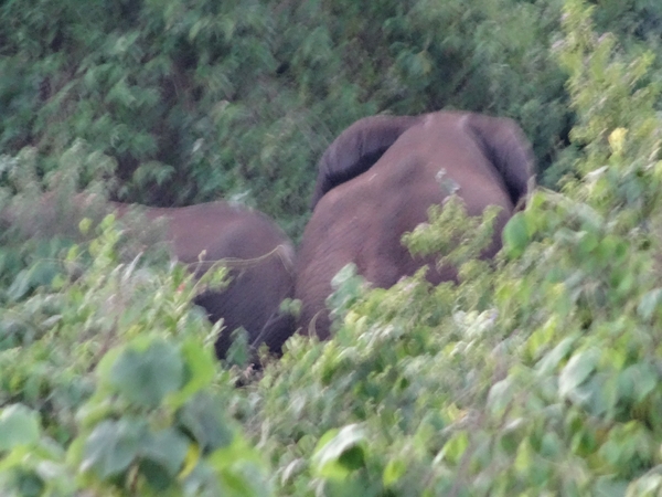 4h Karatu, Lodge _DSC00260