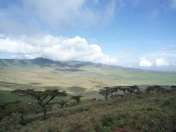 5a Ngorongoro --) Serengeti  _P1210571