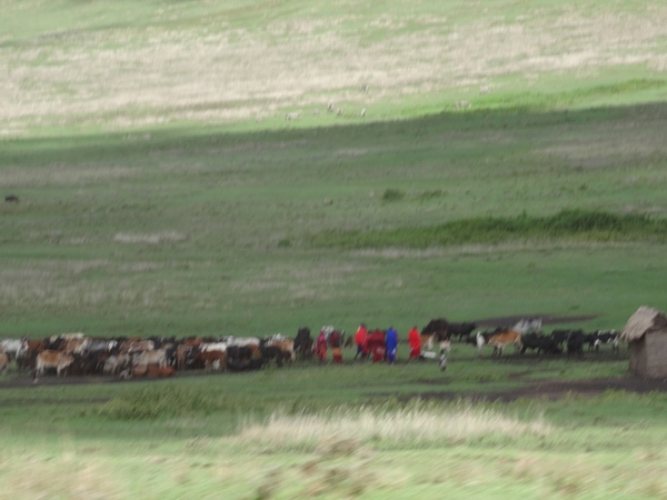 5b Ngorongoro omg, Masai land _DSC00270