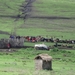 5b Ngorongoro omg, Masai land _DSC00271