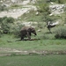 5d Serengeti, picknickplaats, _DSC00288