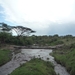 5h Serengeti, rivier, _P1210606
