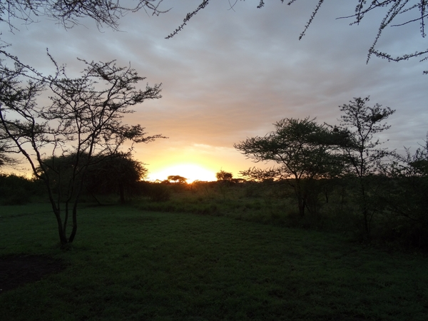 5i Serengeti, tentenkamp _DSC00337