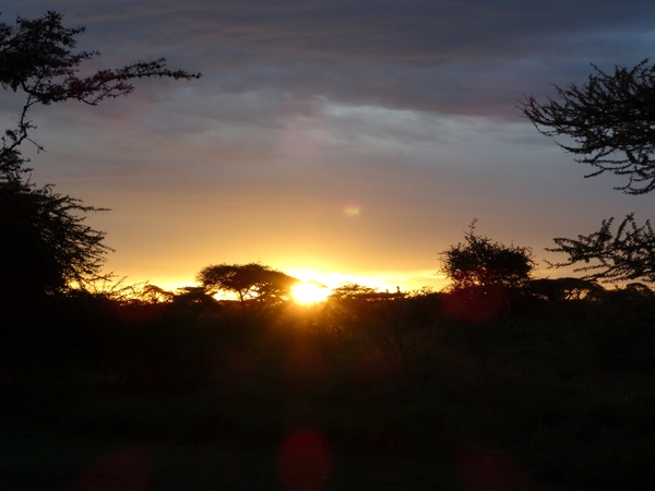 5i Serengeti, tentenkamp _DSC00342