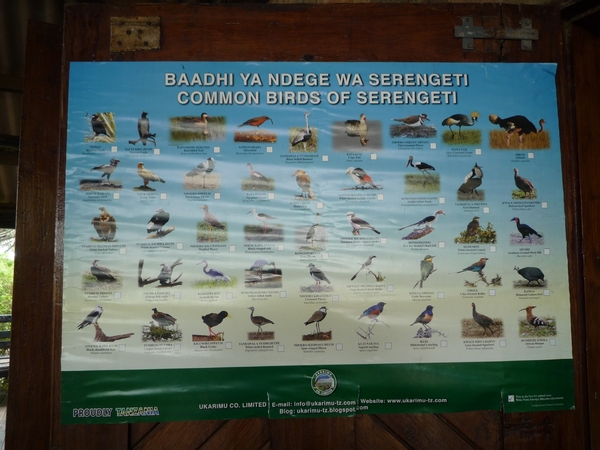 5m Serengeti, populatie overzicht, _P1210632