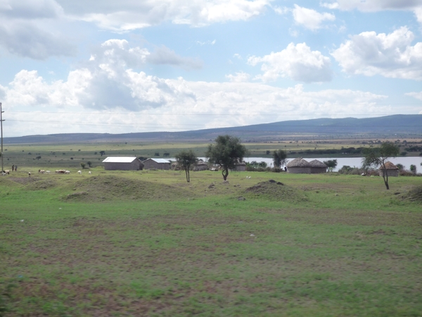 6a Serengeti --) Arusha _P1210669