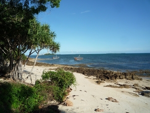 7b Zanzibar, Fumba lodge _P1210717