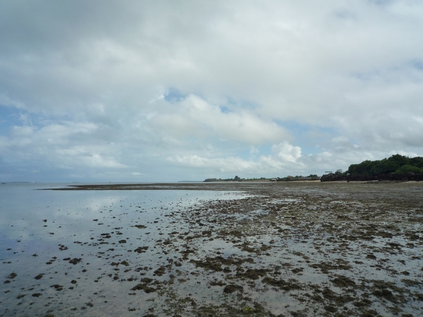 7d Zanzibar, Fumba beach, strandwandeling _P1210777