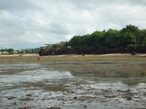 7d Zanzibar, Fumba beach, strandwandeling _P1210782