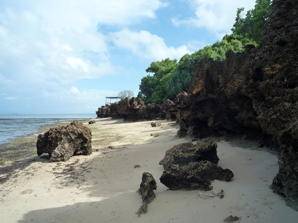 7d Zanzibar, Fumba beach, strandwandeling _P1210785