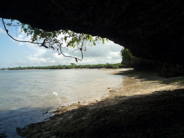7d Zanzibar, Fumba beach, strandwandeling _P1210786