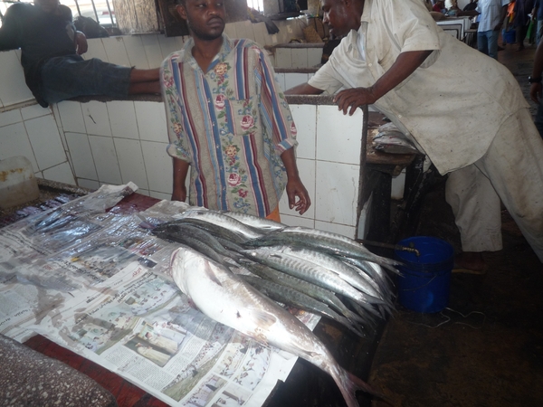 7f Zanzibar, Stone Town _P1210797