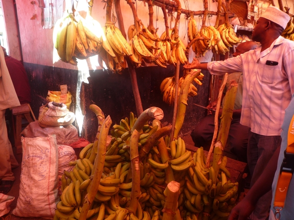 7f Zanzibar, Stone Town _P1210807