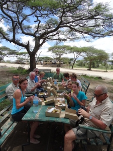 5d Serengeti, picknickplaats, _DSC00284 GRP