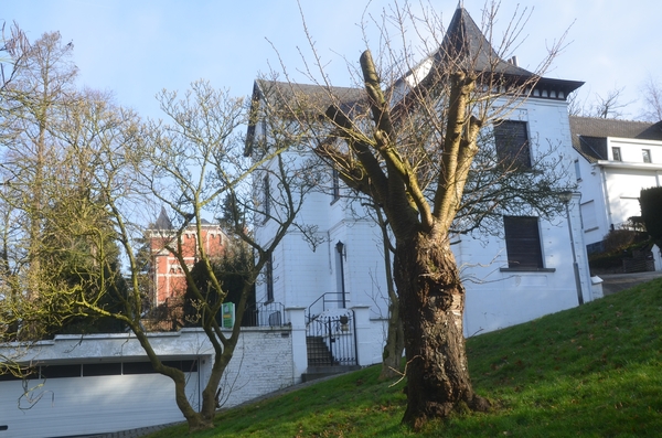 001 ....UIT HET VUISTJE....!