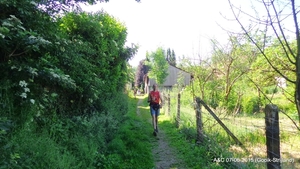 7juni Gooik (Strijland ) 24ste Heidetochten