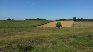 7Juni Gooik(Strijland) 24ste Heidetocht