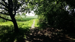 7Juni Gooik(Strijland) 24ste Heidetocht