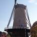 11Okt Essen-Wildert  Rose Grononentocht