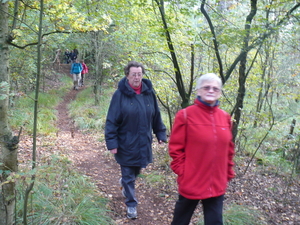 Essen-Wildert  11okt.  Rose Grononentocht